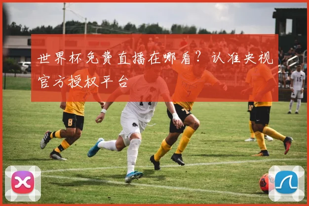 世界杯免费直播在哪看?认准央视官方授权平台