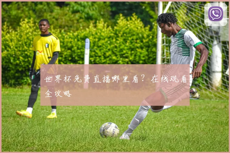 世界杯免费直播哪里看？在线观看全攻略