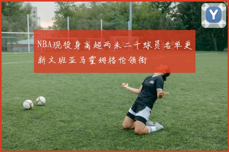 NBA现役身高超两米二十球员名单更新文班亚马霍姆格伦领衔
