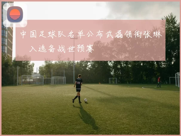 中国足球队名单公布武磊领衔张琳芃入选备战世预赛