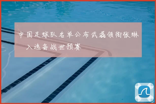 中国足球队名单公布武磊领衔张琳芃入选备战世预赛